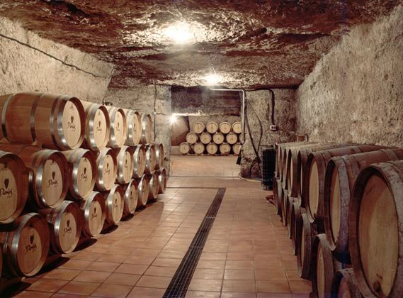 Bodegas Real