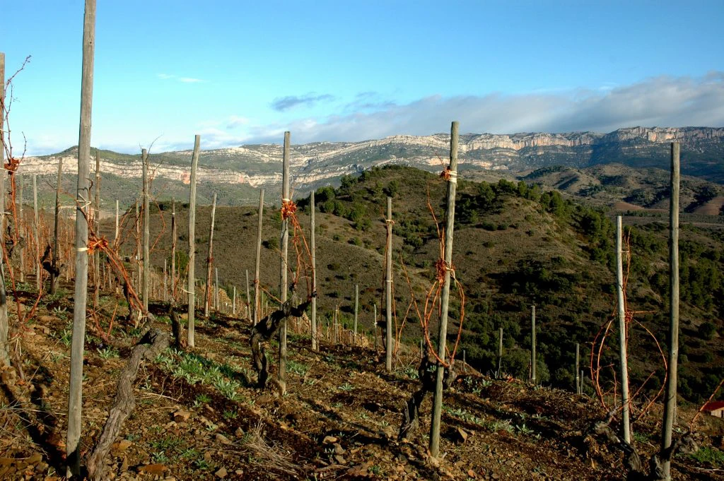 Bodegas Álvaro Palacios