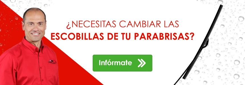 Cambiar las escobillas
