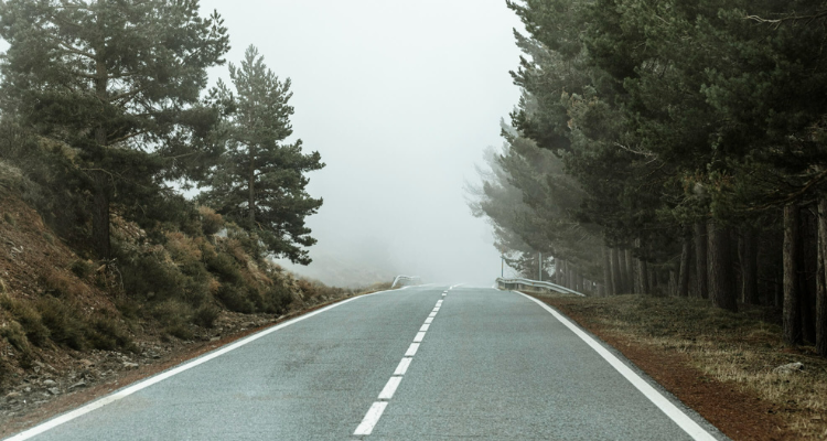 niebla-en-carretera