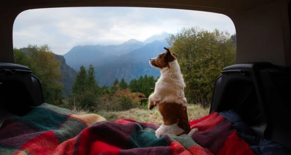 Viajar en camper