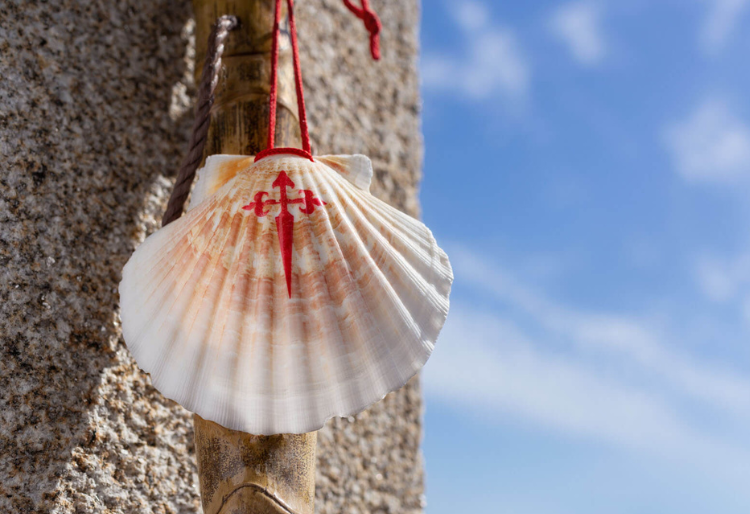 concha-camino-santiago