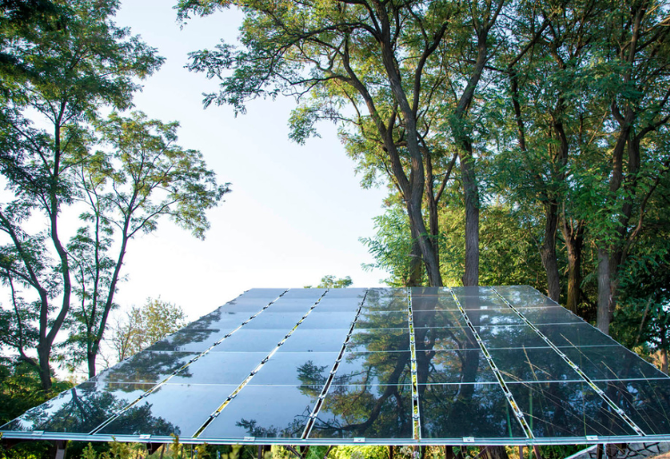 Placas solares - Carglass: placas solares en mitad de un bosque con árboles