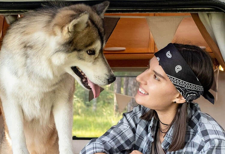 Viaje con mascotas en una camper - una chica mirándose con una mascota dentro de la camper