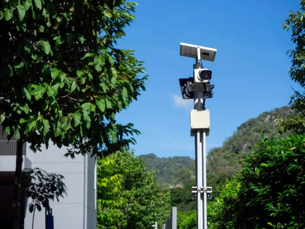 Avisadores y detectores de radares: radar con un árbol verde al lado 