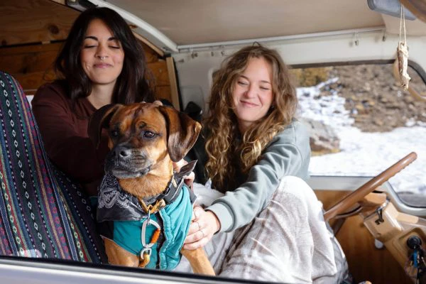 Pareja llevando su mascota en un viaje en camper