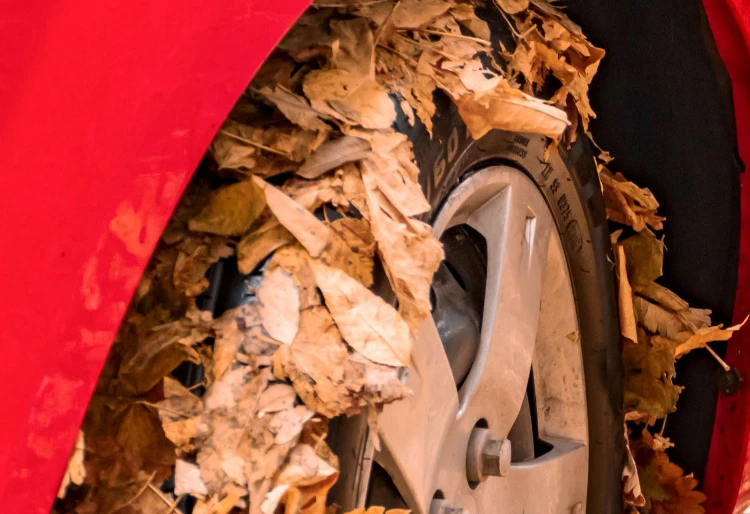 Avería de coche: hojas de otoño en los neumáticos de un coche rojo