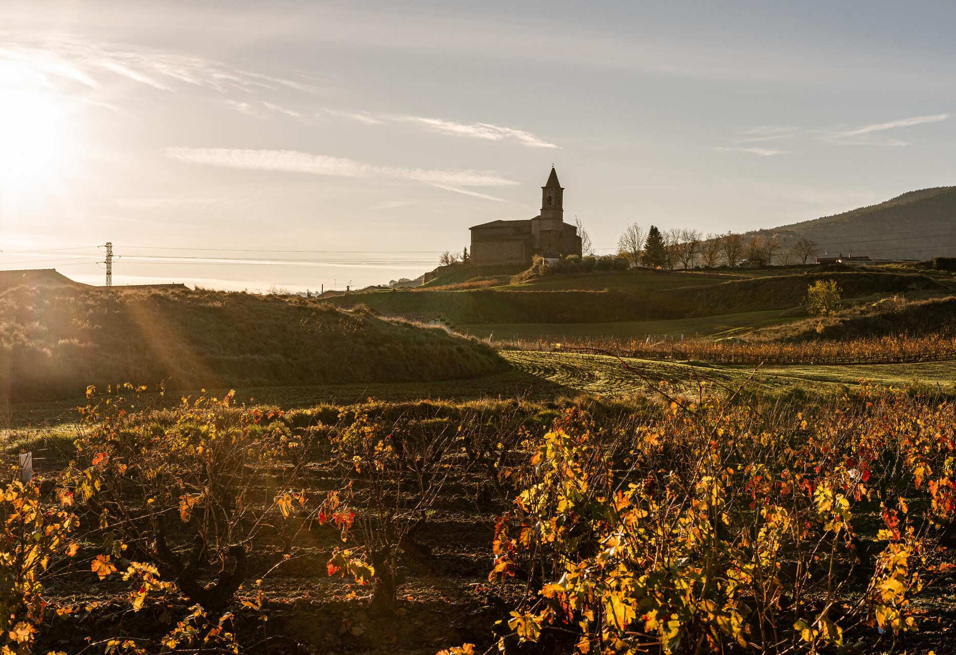 Visitar La Rioja en otoño: destino enoturístico