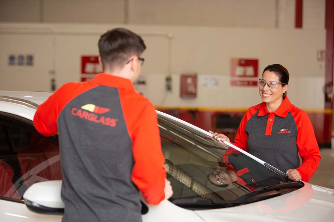 compañeros Carglass