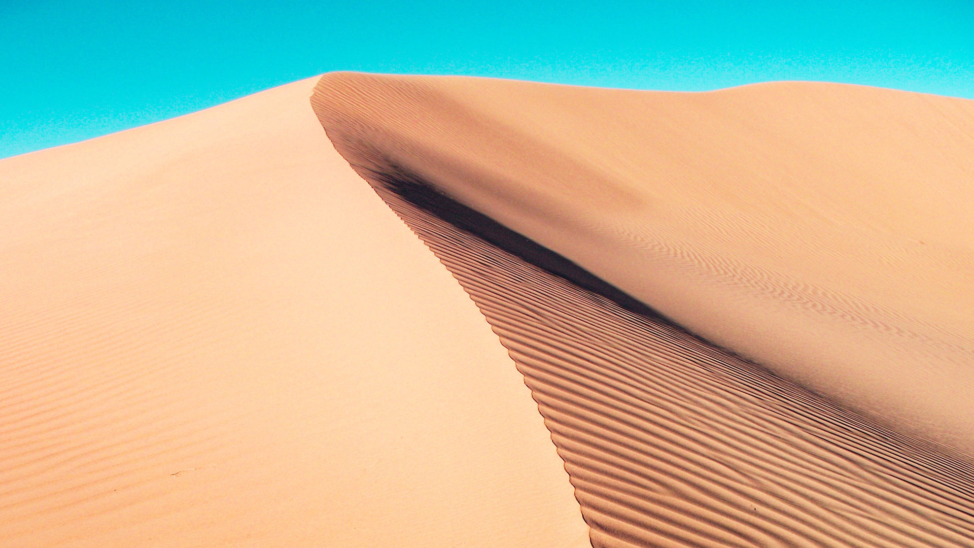 desierto