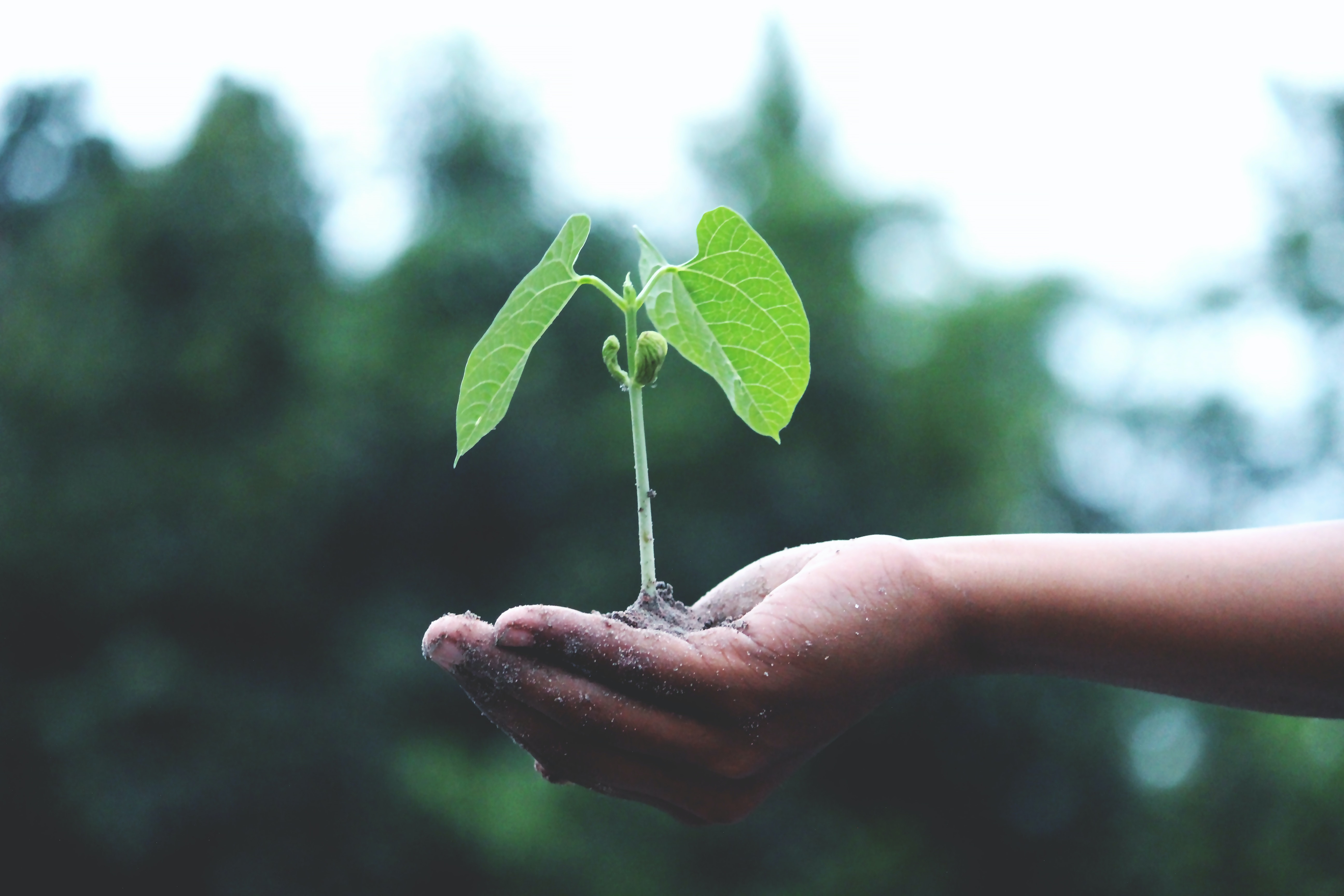 Construyendo un mundo mejor con productos sostenibles y responsabilidad social